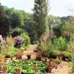 Chateau De Montriou 5* Feneu