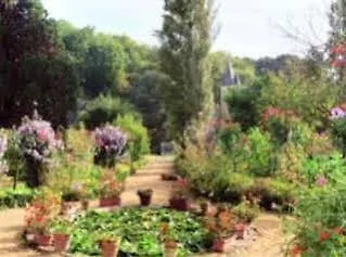 Chateau De Montriou 5* Feneu