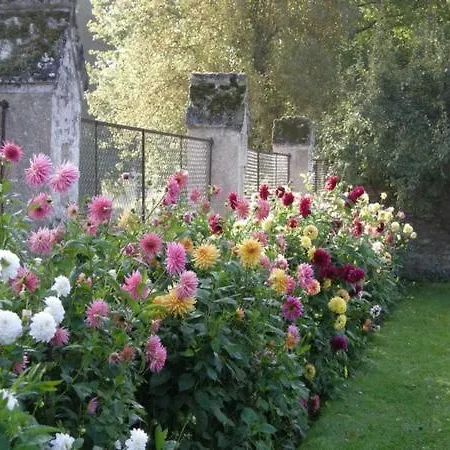 Chateau De Montriou 5* Feneu