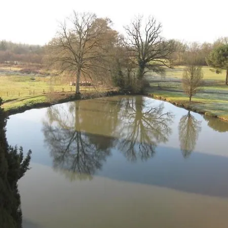 Chateau De Montriou