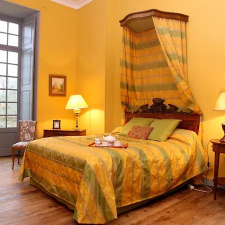 Couette-café Chateau De Montriou 5*