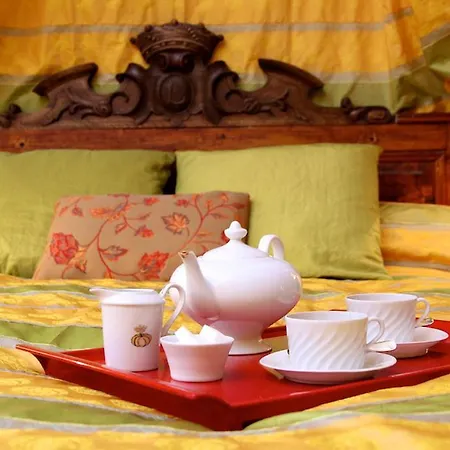 Chateau De Montriou Couette-café 5*