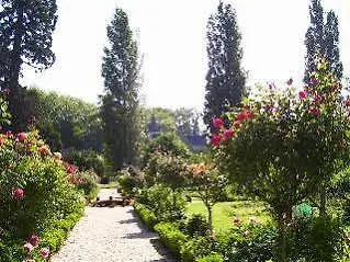 Chateau De Montriou 5*