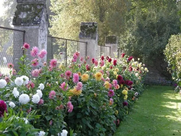 Chateau De Montriou 5* Feneu