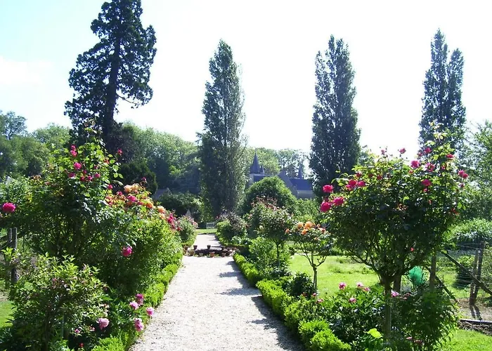 Chateau De Montriou 5* Feneu