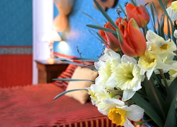 Chateau De Montriou 5*