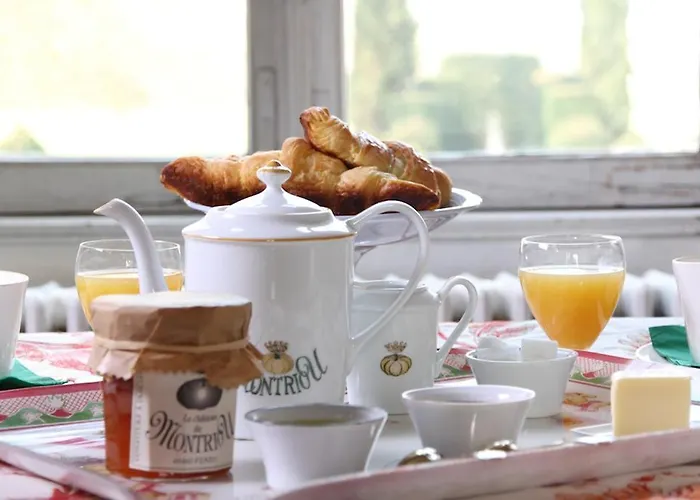 Chateau De Montriou 5*