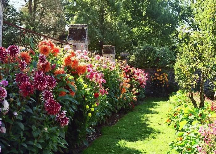 Chateau De Montriou Feneu